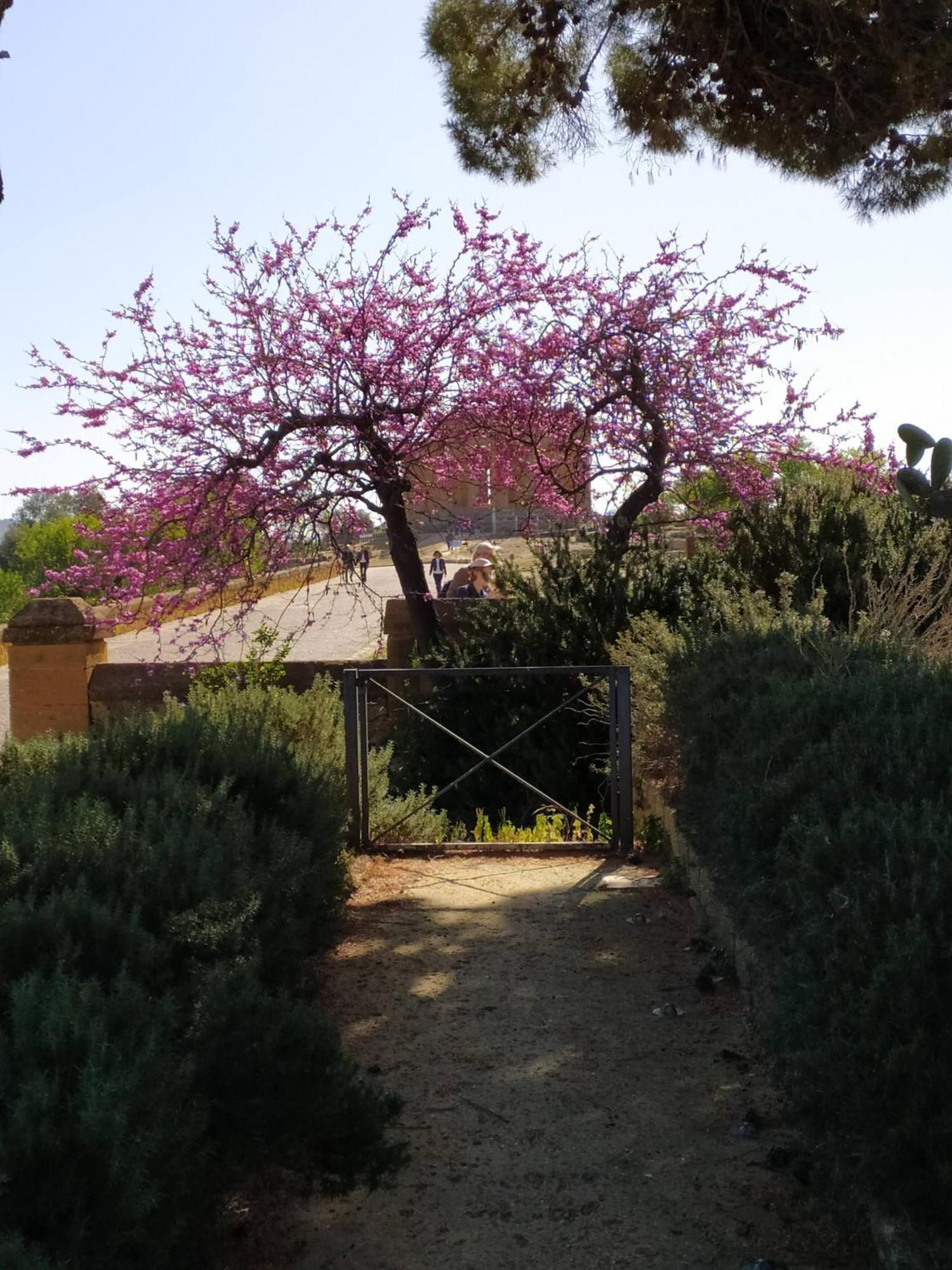 Atena Apartment Agrigento